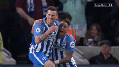 Soccer Futbol GIF by Brighton & Hove Albion Football Club
