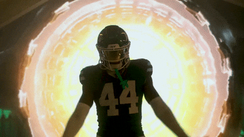 Football Nfl GIF by New York Jets