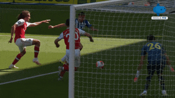 Save Premier League GIF by MolaTV