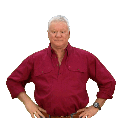 Renovate Channel 9 Sticker by The Block