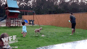 world's funniest fails GIF by Fox TV