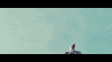 game of thrones horse GIF by 4AD