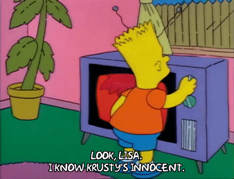 Season 1 GIF by The Simpsons