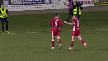 Celebration Hug GIF by Cliftonville Football Club