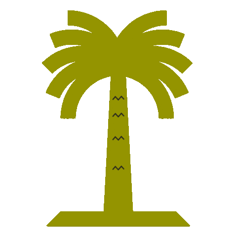 متحف زايد الوطني Sticker by Zayed National Museum