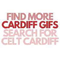 Welsh Rugby Wales Sticker by CELT Language School