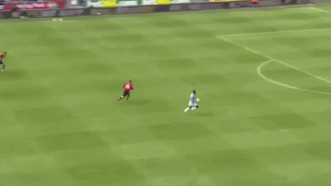 VicVik giphygifmaker GIF