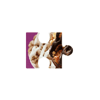 Open Secret Puzzle Sticker by Opensecretsnacks