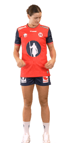 Euro 2024 Handball Sticker by Norges Håndballforbund