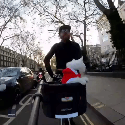 Cat Wearing Reindeer Costume Takes Bike Ride Through London