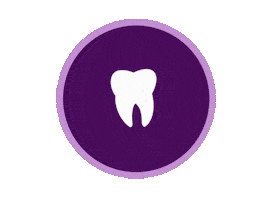 Shop Small Sweet Tooth Sticker by Timothy Jay Sweets