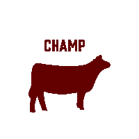 Red Angus Champion Sticker by Ash Valley Designs