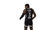 Partizan Sticker by sportmts