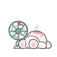 Shinee Sticker
