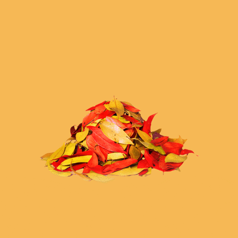 Fall Leaves GIF by Premier Protein