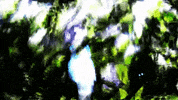 Art Design GIF by jorgemariozuleta
