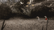 mark duplass cats GIF by Animals