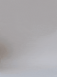 Puffer Fish GIF by TeaCosyFolk