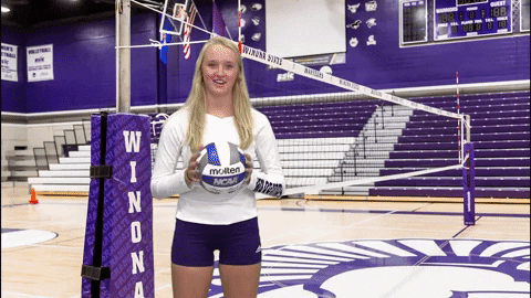 Volleyball GIF by WSUWarriors