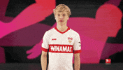 Oh No Stuttgart GIF by Bundesliga