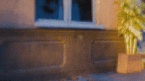 Excited Bog GIF by Bank Of Georgia