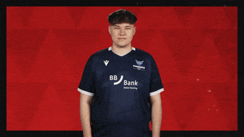 Karlsruher Sc Football GIF by Bundesliga