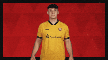 Dynamo Dresden Football GIF by Bundesliga