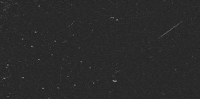 Youre Welcome My Pleasure GIF by Nueva Creative
