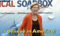 Elizabeth Warren 2020 Race GIF by Election 2020