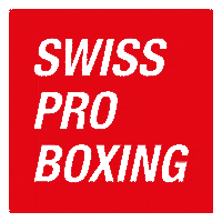 lscreative boxing fightnight boxingday readytorumble Sticker
