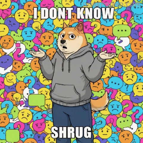 Confused Shiba Inu GIF by Doge Pound