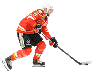 esvk joker eishockey icehockey del2 Sticker