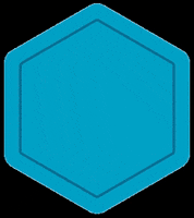 Molchanovs Freediving GIF by Molchanovs