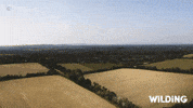 Wilding Time Lapse GIF by PBS