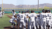 NevadaWolfPack happy celebration baseball high five GIF