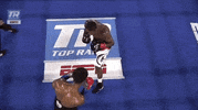 toprank fight boxing fighting espn GIF
