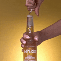 cervejaimperio beer cerveja imperio breja GIF