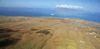 hawaii GIF