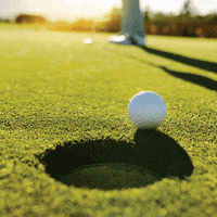 AloeUp golf aloe aloe vera aloevera GIF