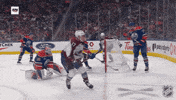 Happy National Hockey League GIF by NHL