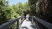 indian river county florida GIF