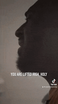 GIF by Provident Label Group