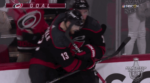 happy ice hockey GIF by NHL