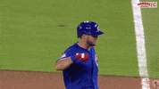 Cubs GIF by Marquee Sports Network