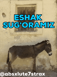 Uzbekistan Uzb GIF