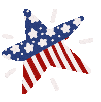 United Star Sticker by Demic