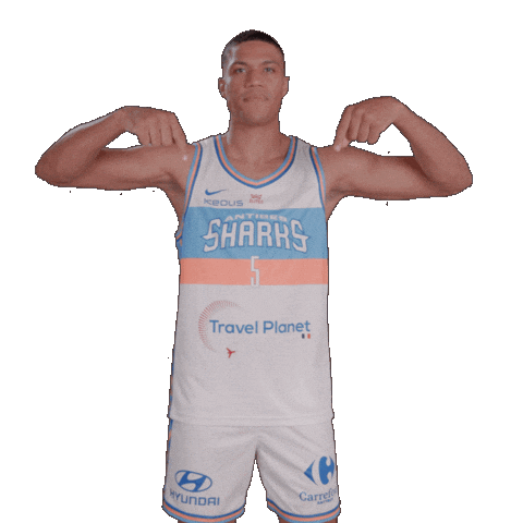 Sharksantibes Sticker by Antibes Sharks