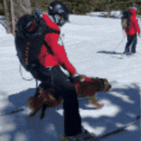 Ikon Pass Bark Bracket GIF by ikonpass