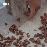 Look Energy GIF by TRT