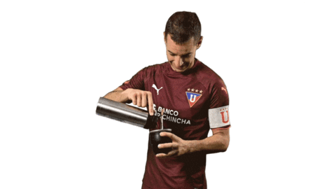 Gabba Sticker by LDU_Oficial